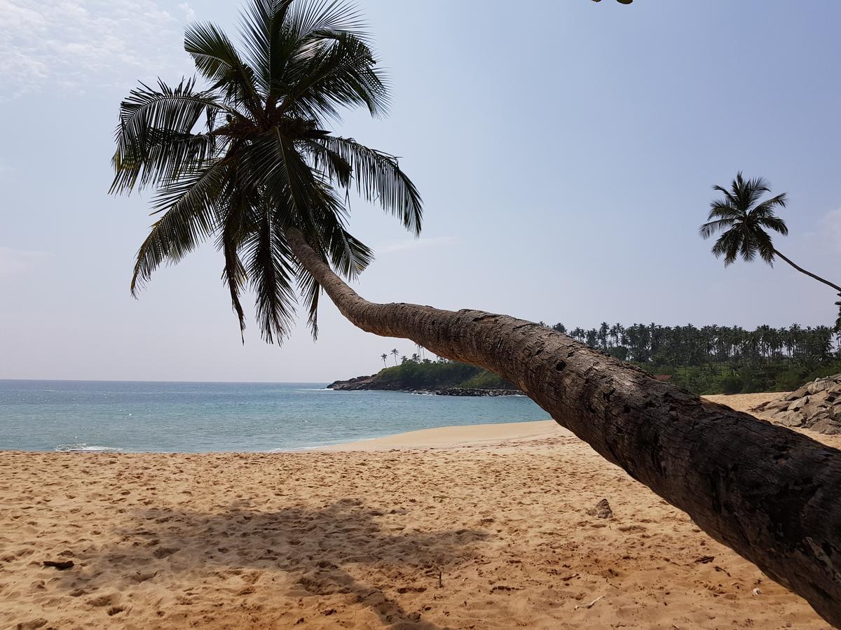 Tangalle Bay Cottages المظهر الخارجي الصورة